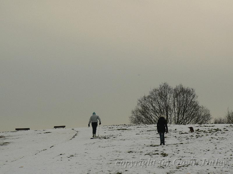 Winter, Hampstead Heath P1070504.JPG